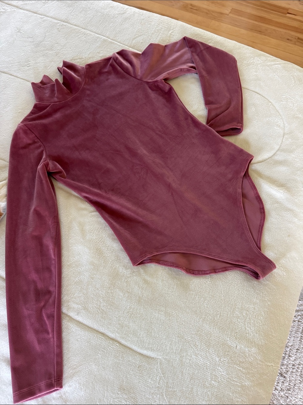 American Eagle Outfitters Long-Sleeve Mock Neck Bodysuit in Mauve